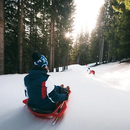 Confortable 2 Pieces, 4 Pers, Skis Aux Pieds, Proche Commerces - Fr-1-182a-26