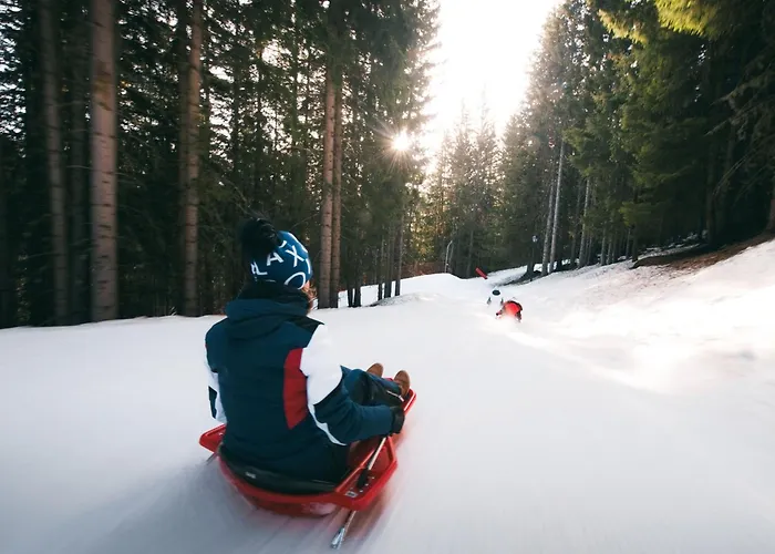 Confortable 2 Pieces, 4 Pers, Skis Aux Pieds, Proche Commerces - Fr-1-182a-26